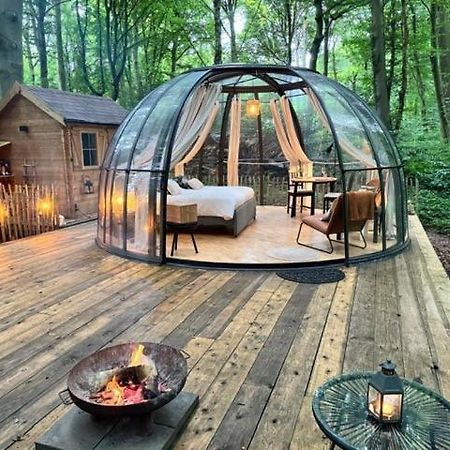 Le Dome De Namur - Une Nuit Insolite Dans Les Bois エクステリア 写真