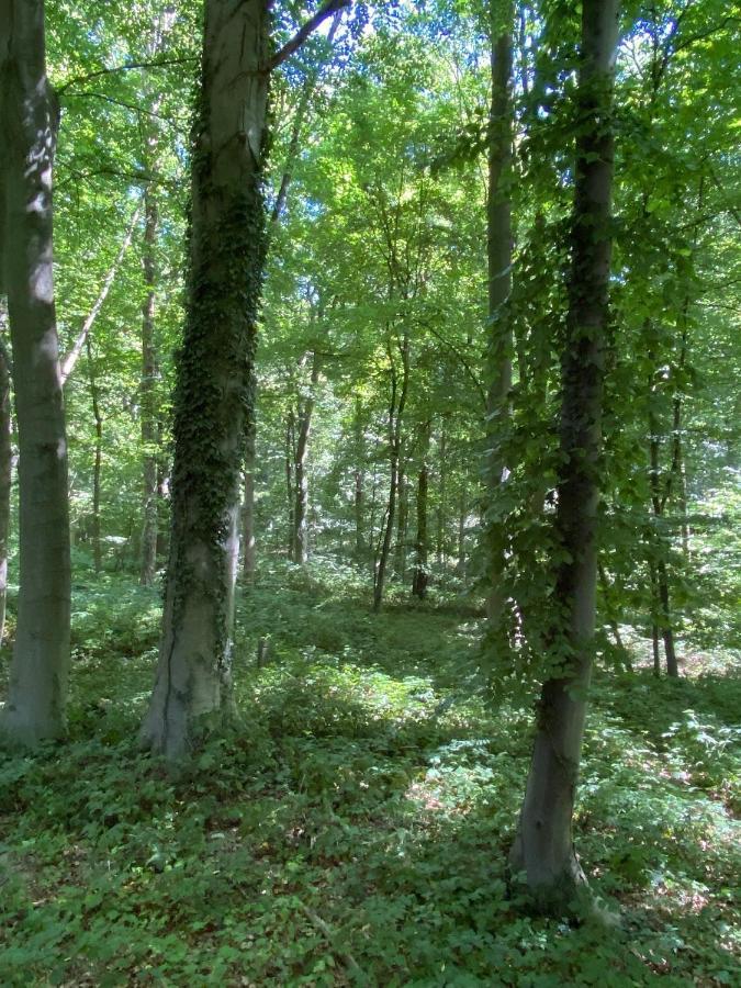 Le Dome De Namur - Une Nuit Insolite Dans Les Bois エクステリア 写真