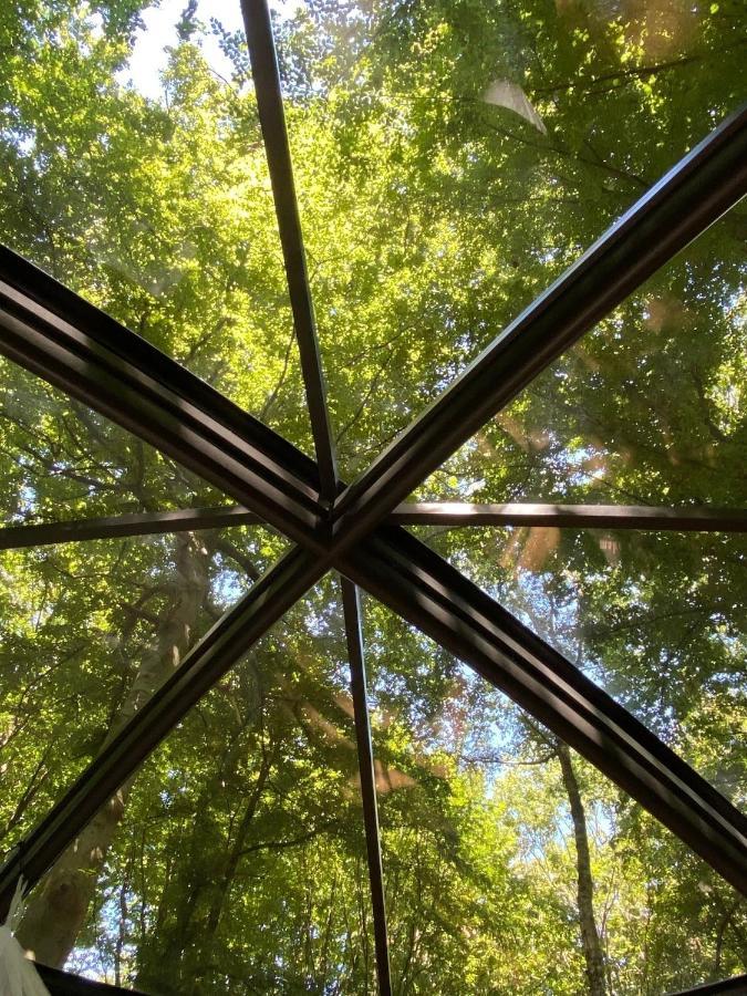 Le Dome De Namur - Une Nuit Insolite Dans Les Bois エクステリア 写真
