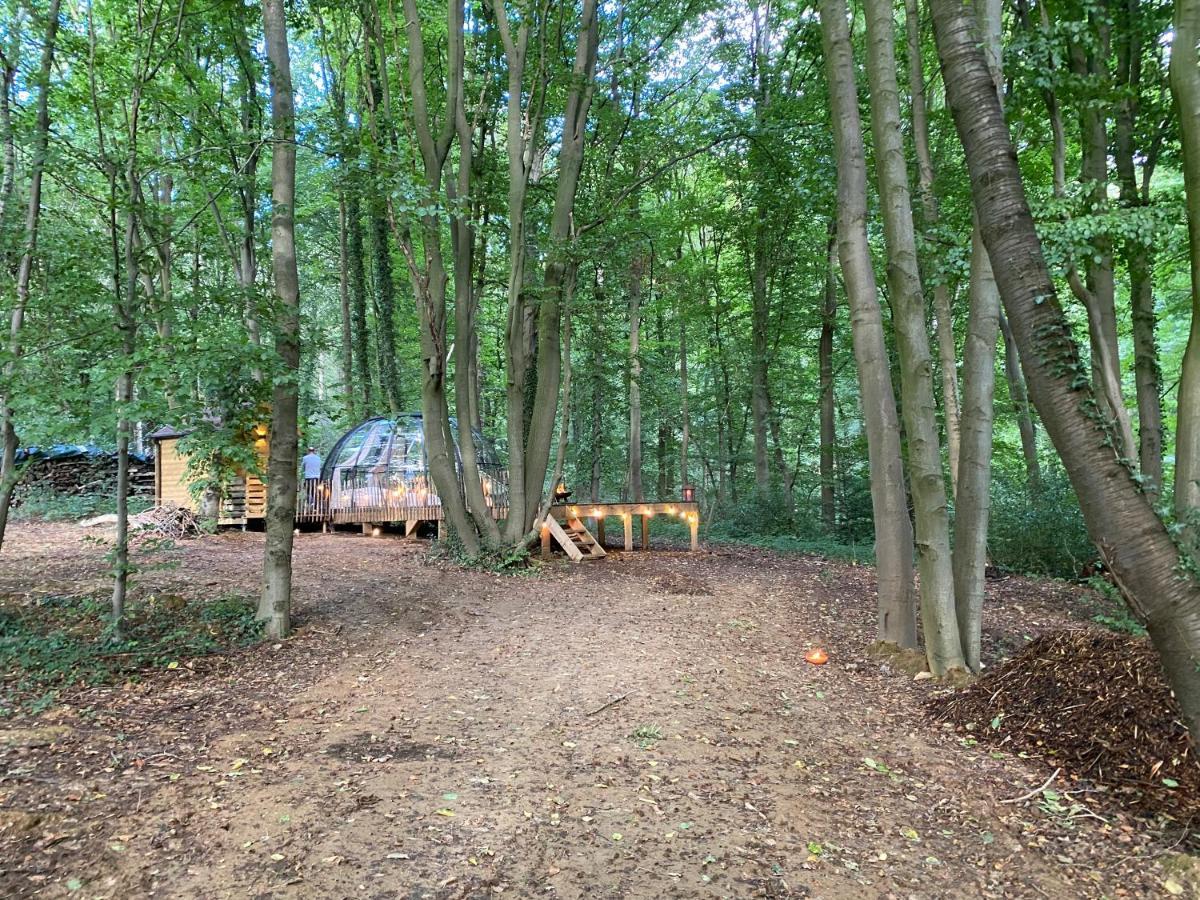 Le Dome De Namur - Une Nuit Insolite Dans Les Bois エクステリア 写真