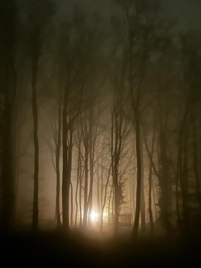 Le Dome De Namur - Une Nuit Insolite Dans Les Bois エクステリア 写真