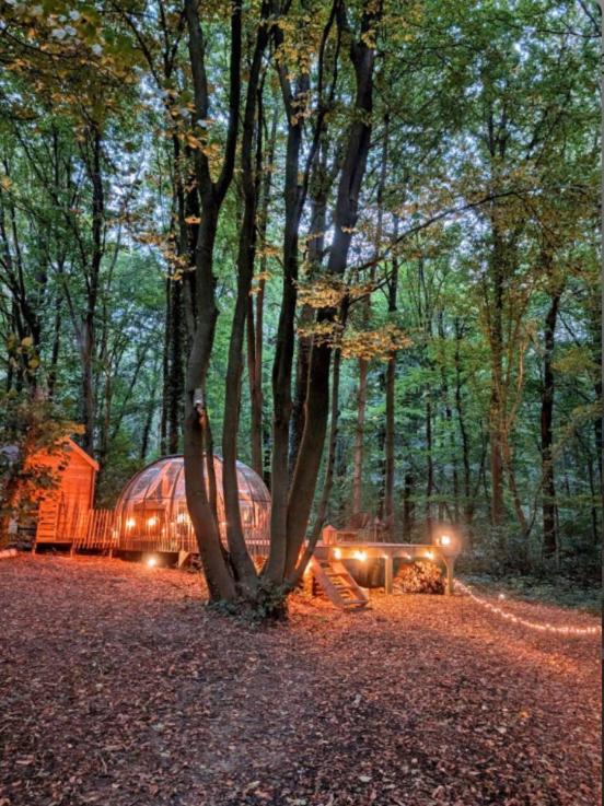 Le Dome De Namur - Une Nuit Insolite Dans Les Bois エクステリア 写真