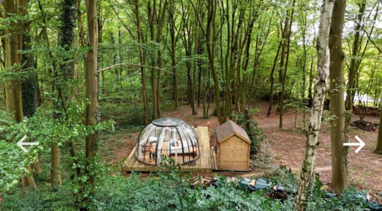 Le Dome De Namur - Une Nuit Insolite Dans Les Bois エクステリア 写真